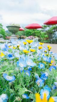 花壇 花壇の写真