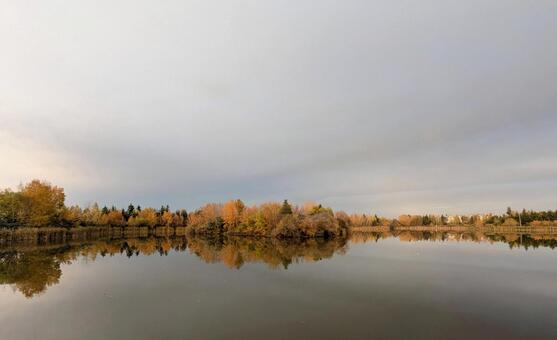 曇天に映える紅葉　湖面反射　修正なし 紅葉,映える,きれいの写真素材