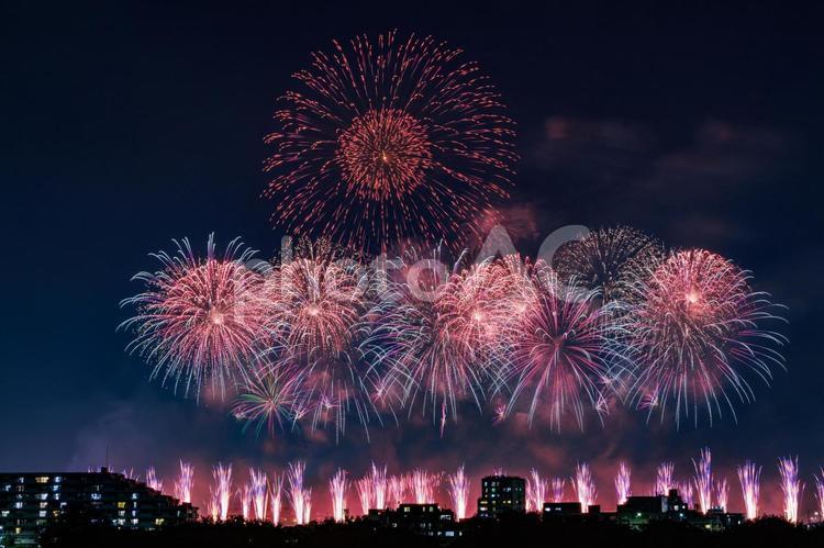夜空に広がるスターマインと光の矢の花火 花火,打ち上げ花火,花火大会の写真素材