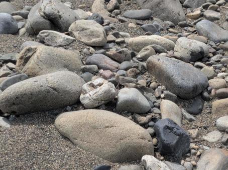 石に擬態するカワラバッタ 石に擬態するカワラバッタ カワラバッタ,バッタ,昆虫の写真素材