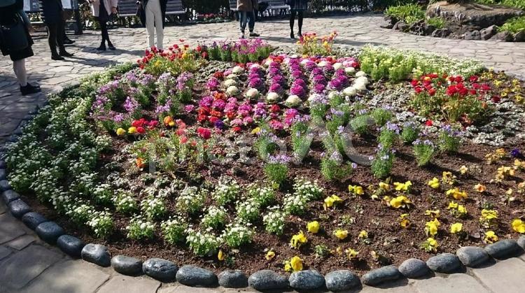 長崎 グラバー園 長崎 グラバー園 グラバー園,長崎,長崎市の写真素材