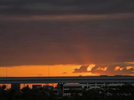 朝焼け 朝焼けの写真
