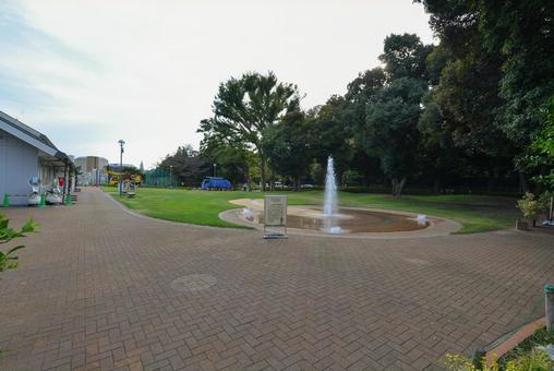 目白台運動公園の芝生広場 目白台運動公園,噴水池,芝生の写真素材