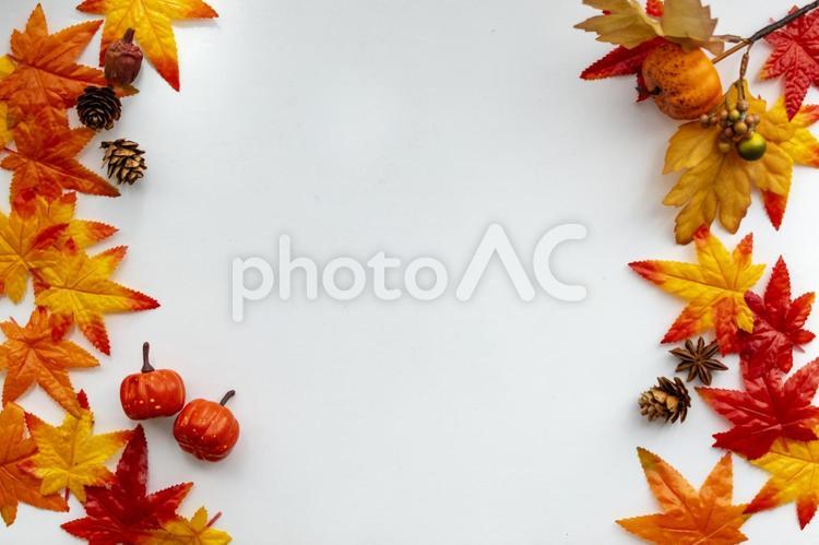 紅葉フレーム　秋フレーム　ハロウィンフレーム ハロウィン,かぼちゃ,カボチャの写真素材