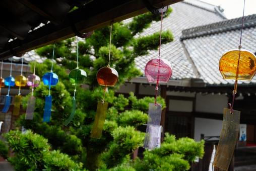 西教寺の風鈴 西教寺の風鈴 風鈴,西教寺,酷暑の写真素材