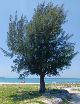 Photo, araha beach, beach, sea, 
