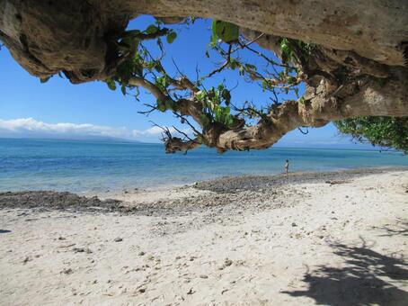 Taketomi Island Beach, taketomijima, beach, sea, JPG