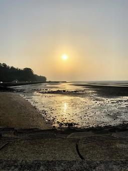 住吉海岸公園 住吉海岸公園の写真