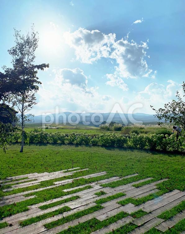 美瑛の丘と空と花02 美瑛,北海道,富良野の写真素材