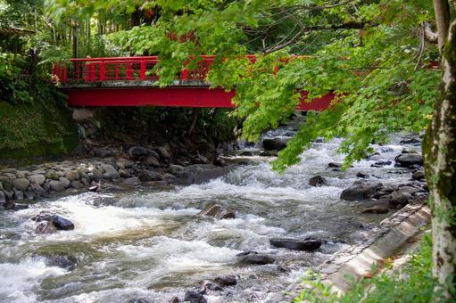 修善寺の風景⑸ 修善寺の風景⑸ 橋,川,流れの写真素材