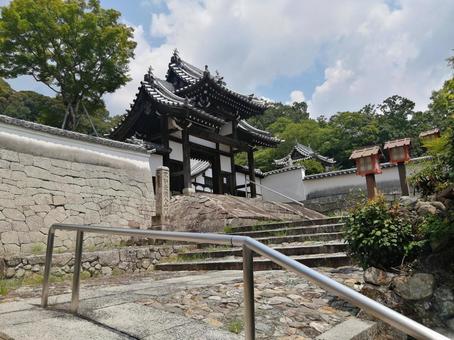 大廣寺 山門 大廣寺 山門 大廣寺,山門,参道の写真素材