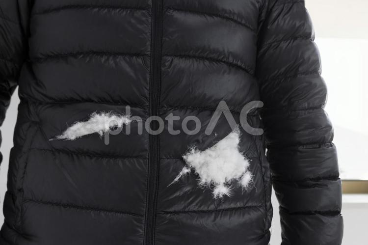 破れて中身の出たダウンジャケットを着た男 男性,破れる,傷の写真素材