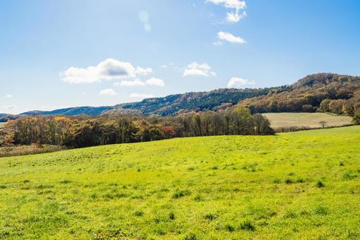 秋の蔵王高原⑴の写真