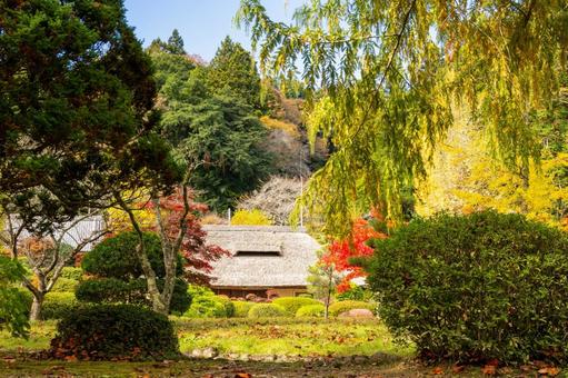 旧佐藤家住宅の秋⑾ 家,古民家,旧佐藤家住宅の写真素材