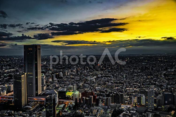 東京都庁の展望台から見える新宿の都市風景と夕景 東京,街並み,夕景の写真素材
