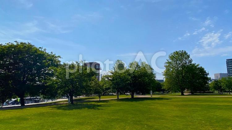 新緑の環水公園（富山） 環水公園,富山,運河の写真素材