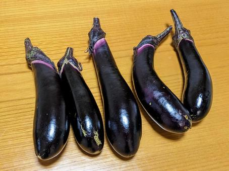 テーブルの上に並んでいるナス ナス,茄子,野菜の写真素材