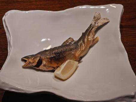 「アユの塩焼き」と白い皿 「アユの塩焼き」と白い皿の写真