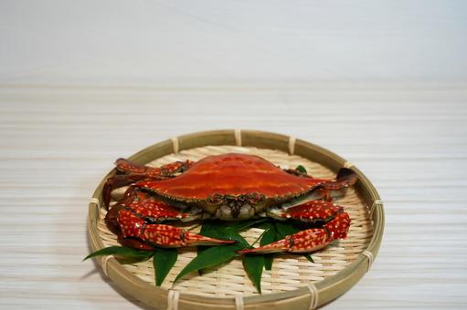 旬を迎えた茹でたてのワタリガニ 旬を迎えた茹でたてのワタリガニの写真