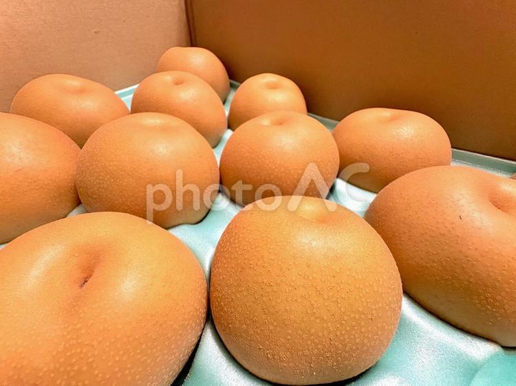 箱詰めされた梨 07 梨,なし,有りの実の写真素材