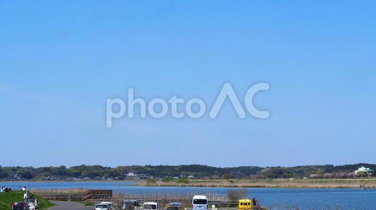 春の青空の印旛沼（千葉県・佐倉市） 春,印旛沼,佐倉市の写真素材