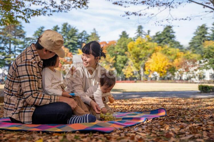 秋の公園で遊ぶ家族 家族,ピクニック,行楽の写真素材