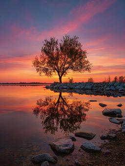 美しいグラデーションの空 美しいグラデーションの空の写真