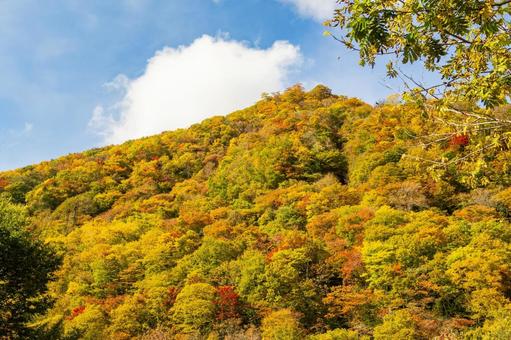 紅葉の山⑴の写真