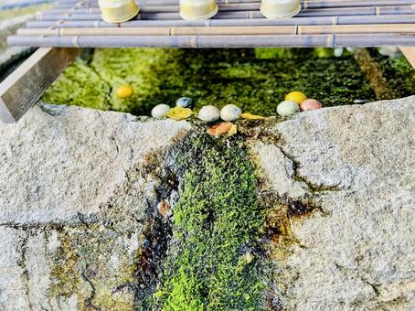 綾部八幡神社 綾部八幡神社,手水,手水社の写真素材