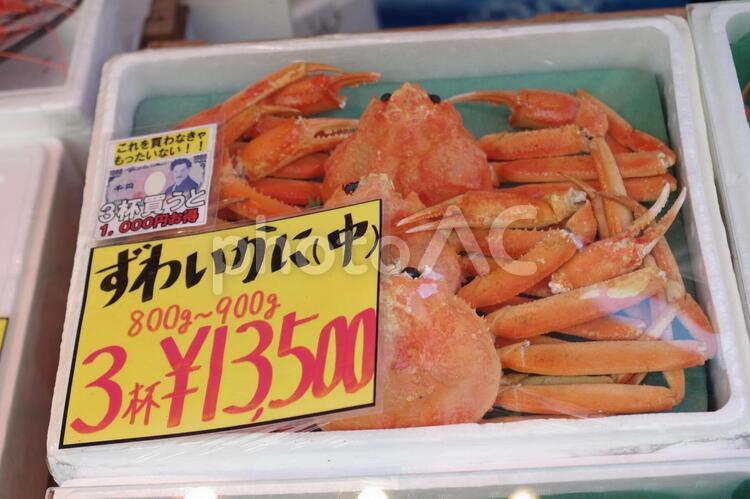 ずわいがに　福井 かに,ずわいがに,市場の写真素材