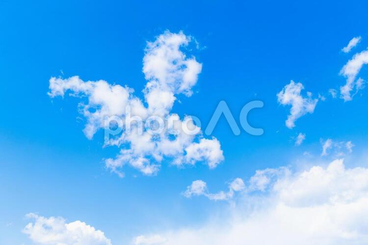 チョウの形をした白い雲 チョウ,雲,青空の写真素材