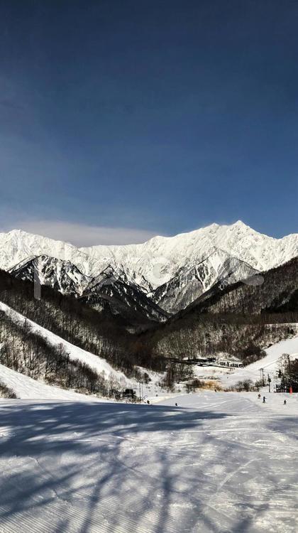 スキー場　ゲレンデ風景 スキー場,鹿島槍,槍ヶ岳の写真素材