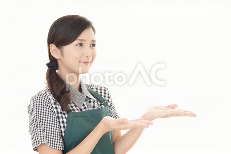 掌を見せる笑顔の女性 女性,女,主婦の写真素材