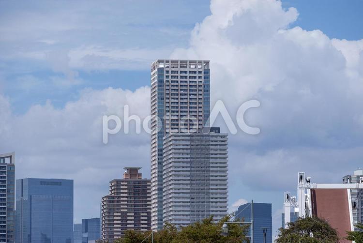 タワーマンションがある風景 タワーマンション,ビル,ビル街の写真素材