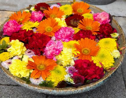 カラフルな花手水 花びら,フラワー,自然の写真素材