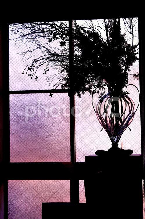 窓辺の風景 窓辺の風景,窓,植物の写真素材