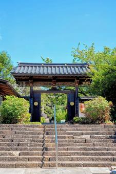 隠岐の島・隠岐国分寺 隠岐の島・隠岐国分寺の写真
