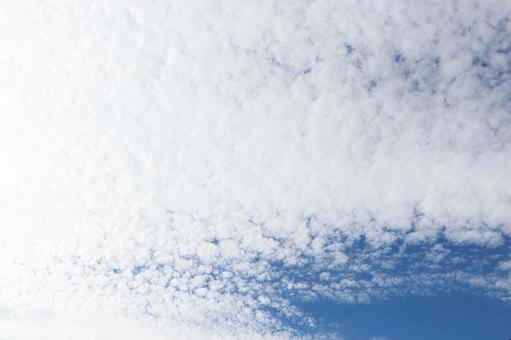 青空にキレイな羊雲 青空にキレイな羊雲 羊雲,ひつじ雲,天気の写真素材