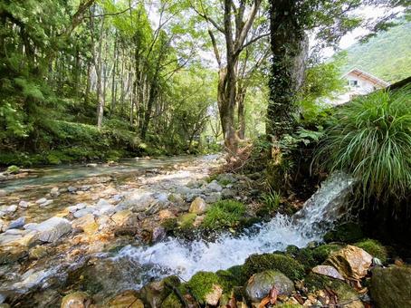 円原川/岐阜 円原川/岐阜の写真
