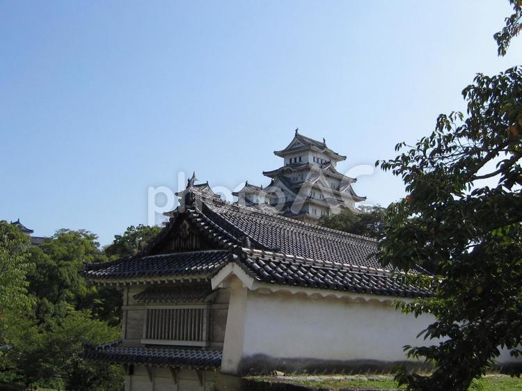 姫路城　西の丸からの天守閣 姫路城,白鷺城,平山城の写真素材