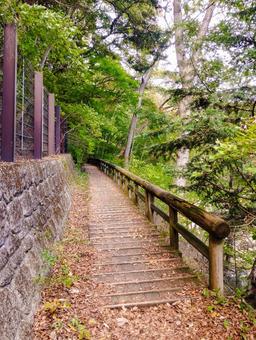 トレッキングは熊鈴を鳴らしながら ハイキング,トレッキング,山道の写真素材