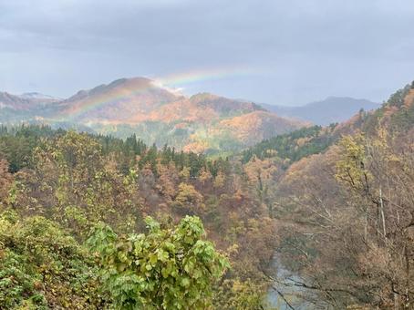 紅葉と虹 紅葉と虹の写真