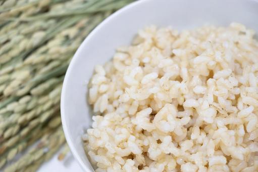 玄米ご飯 稲穂 玄米ご飯,稲穂,玄米の写真素材