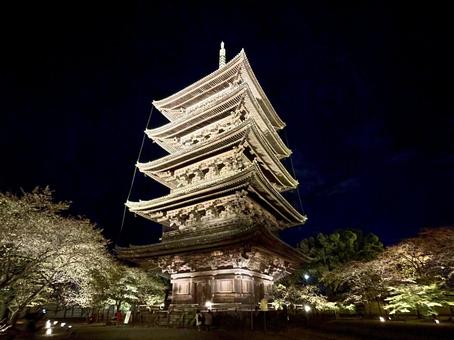 東寺 京都 東寺 京都の写真