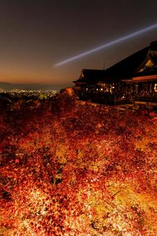 京都　清水寺　紅葉ライトアップ 清水寺,京都,ライトアップの写真素材