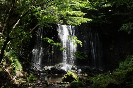 達沢不動滝 達沢不動滝の写真