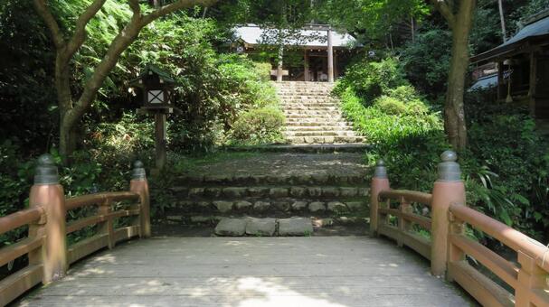 日向大神宮　内宮への参道 日向大神宮,神社,神社仏閣の写真素材