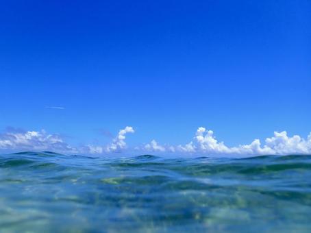 水平線と夏の海 水平線と夏の海の写真