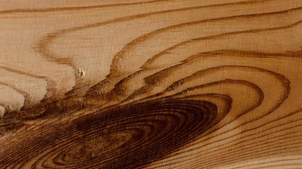 美しい木目のバックグラウンド 木材,断面,木目の写真素材