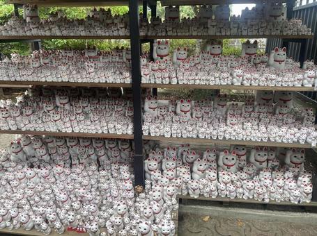 豪徳寺の招き猫たちの写真